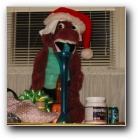 [Click to enlarge image]